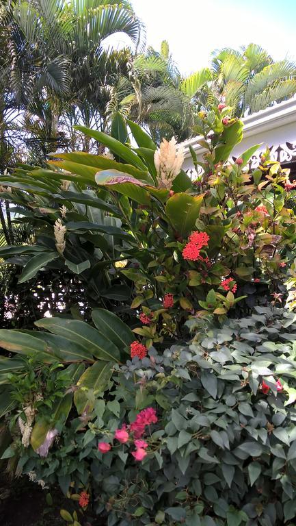 생트안느 Cap Martinique 빌라 외부 사진